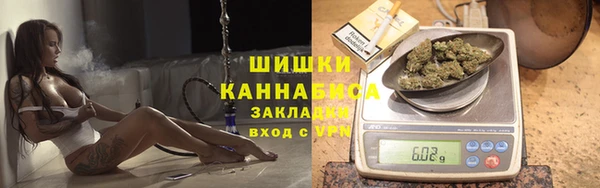 молекула духа Гусь-Хрустальный