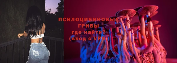 мдма Гусев