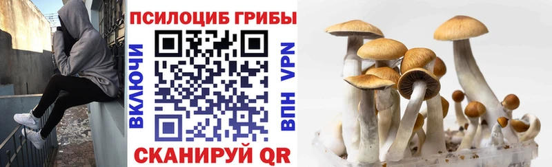 Галлюциногенные грибы прущие грибы  Купить где  Кудрово 